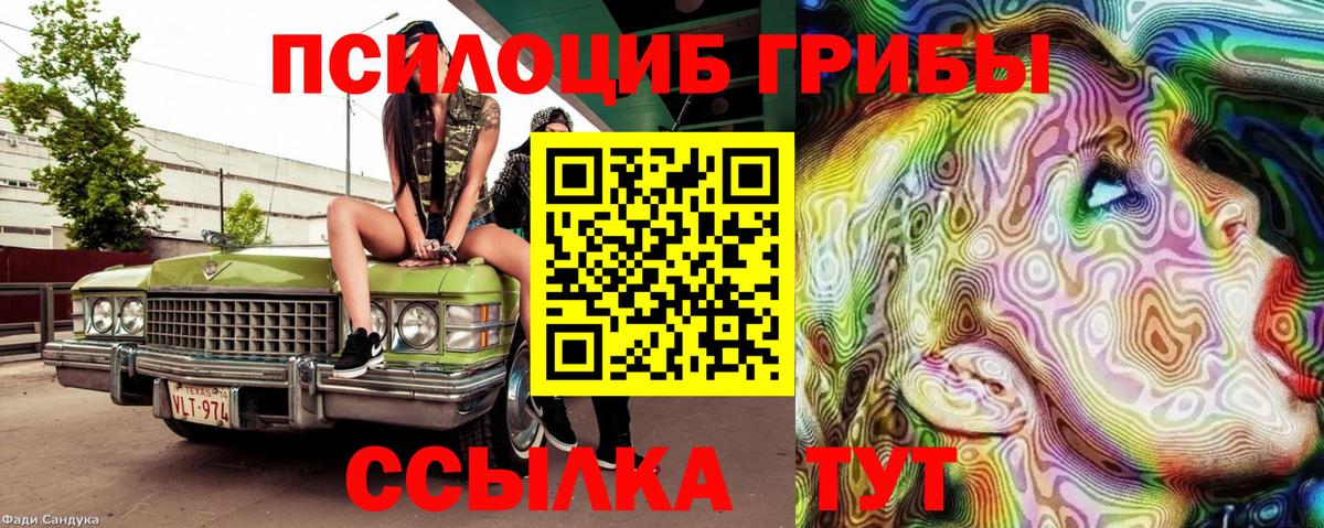 Галлюциногенные грибы мухоморы  Вход с VPN  Северобайкальск 