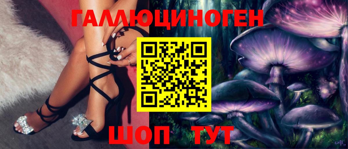 Псилоцибиновые грибы прущие грибы Северобайкальск